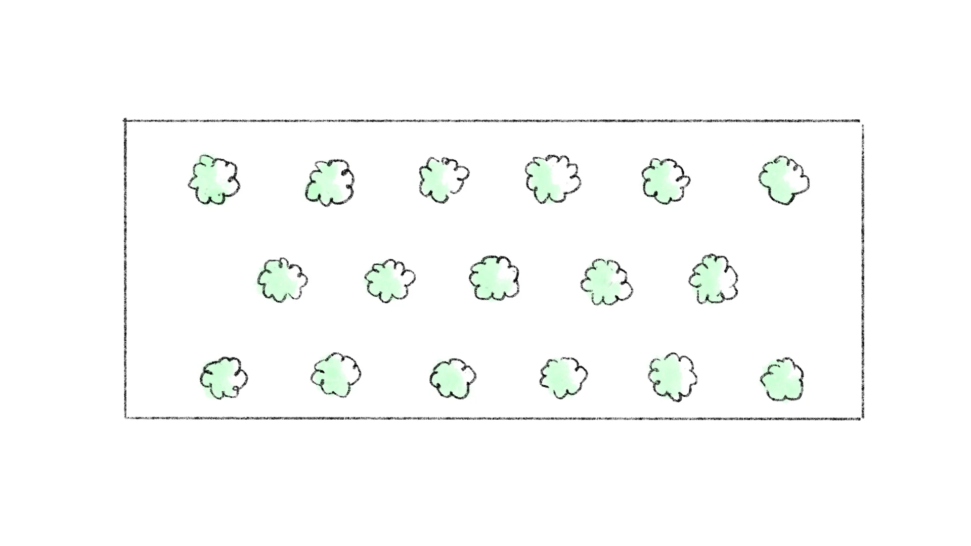 Bovenaanzicht van een haag in verschoven verband.