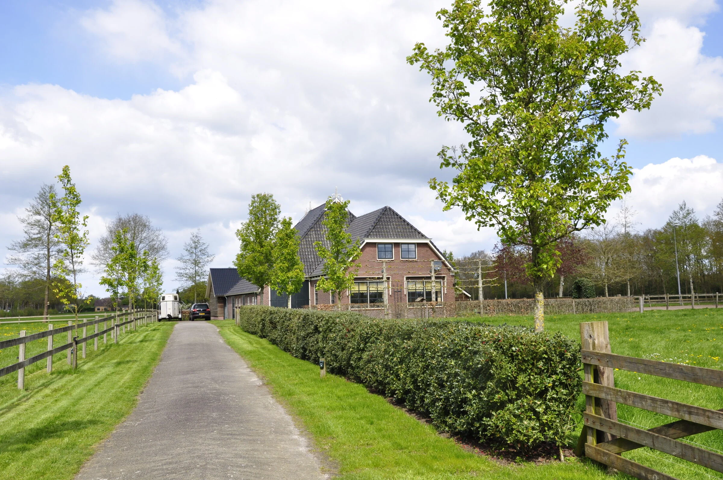Hulstheg langs een oprit bij woning in Schurega.