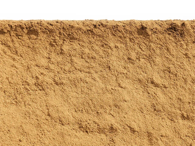 Detailfoto van een zandbodem (oranje/geel) waar nog geen bodemvorming in plaats heeft gevonden.