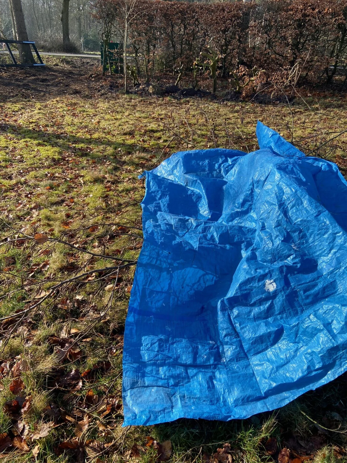 Bosplantsoen ligt onder blauw afdekzeil